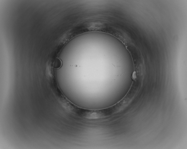 X0000113360755200909151235