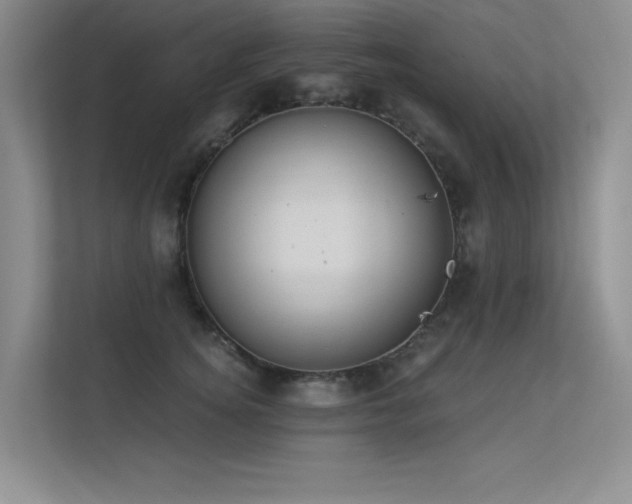 X0000113360756200909151235