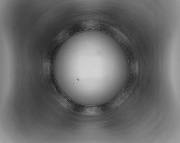 X0000113360757200909151235