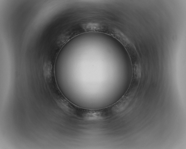 X0000113360760200909151235