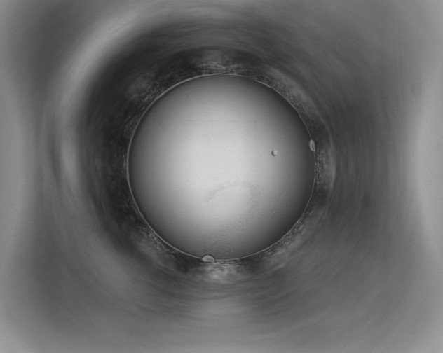 X0000113360762200909151235