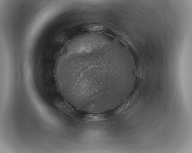 X0000113360763200909151235