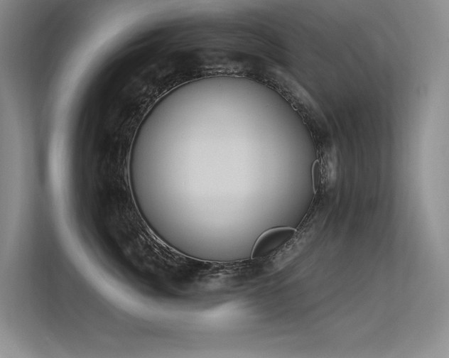 X0000113360764200909151235