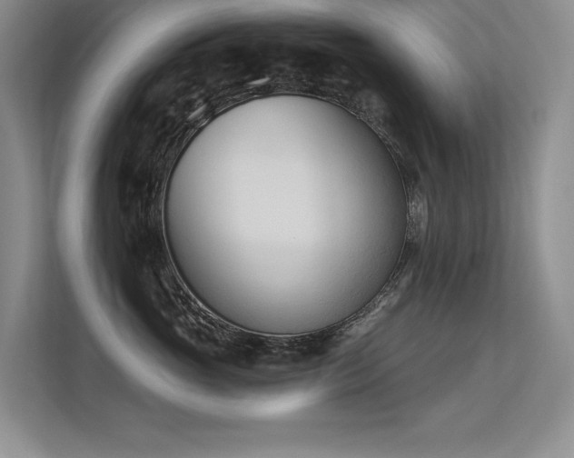 X0000113360765200909151235