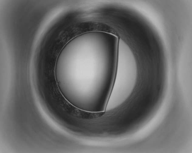 X0000113360766200909151235