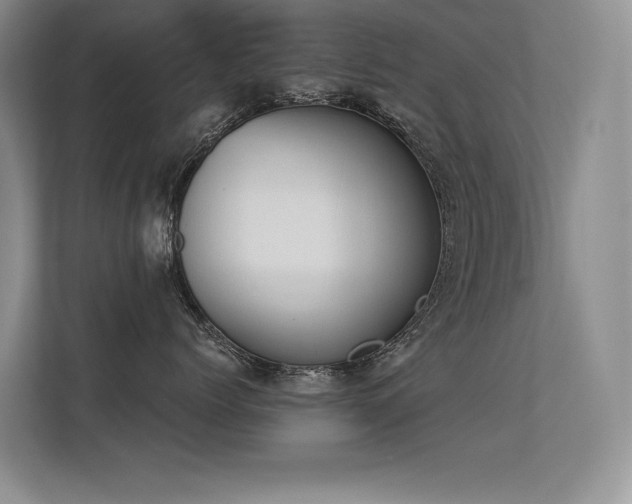 X0000113360768200909151235