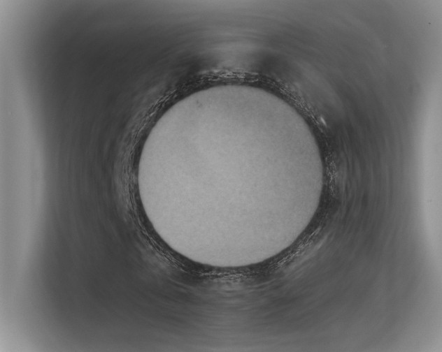 X0000113360769200909151235