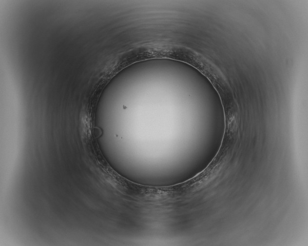X0000113360772200909151235