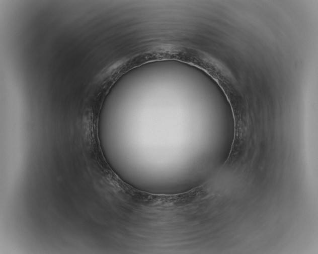 X0000113360773200909151235