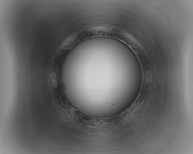 X0000113360774200909151235