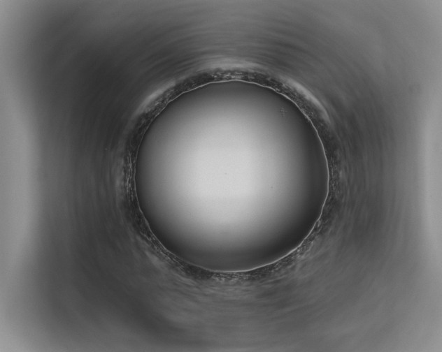 X0000113360775200909151235