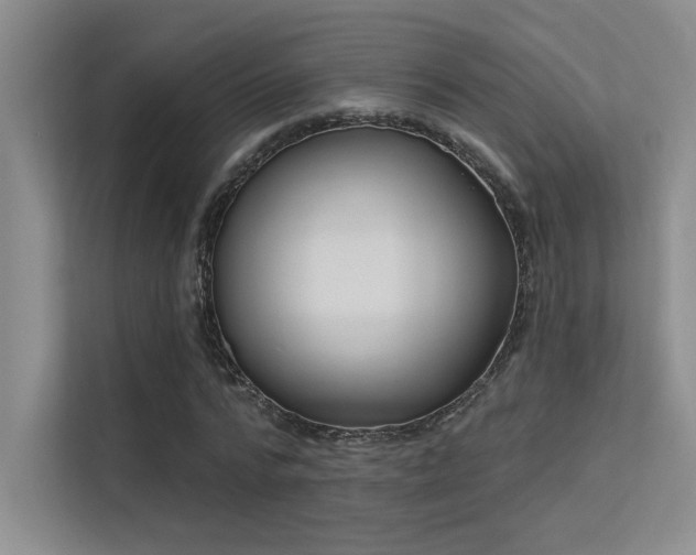 X0000113360776200909151234