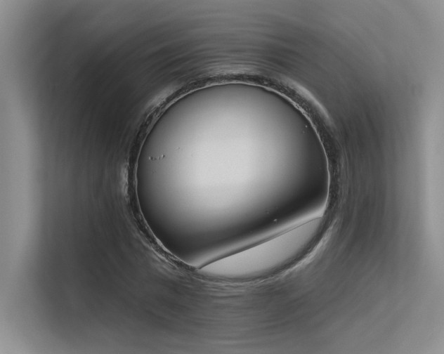 X0000113360777200909151234