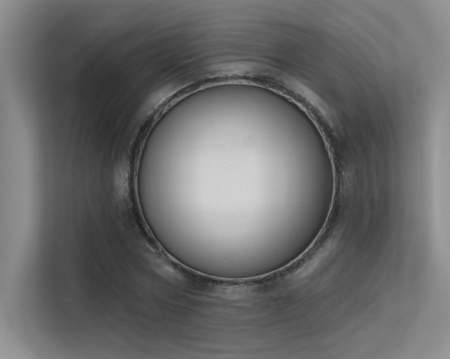 X0000113360778200909151234