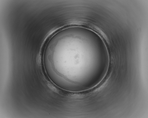 X0000113360779200909151234