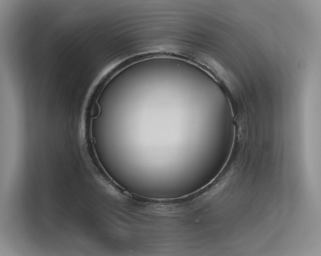 X0000113360780200909151234