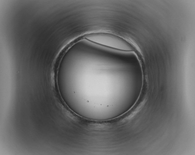 X0000113360781200909151234