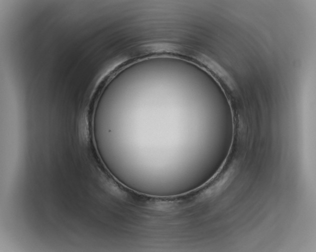 X0000113360782200909151234