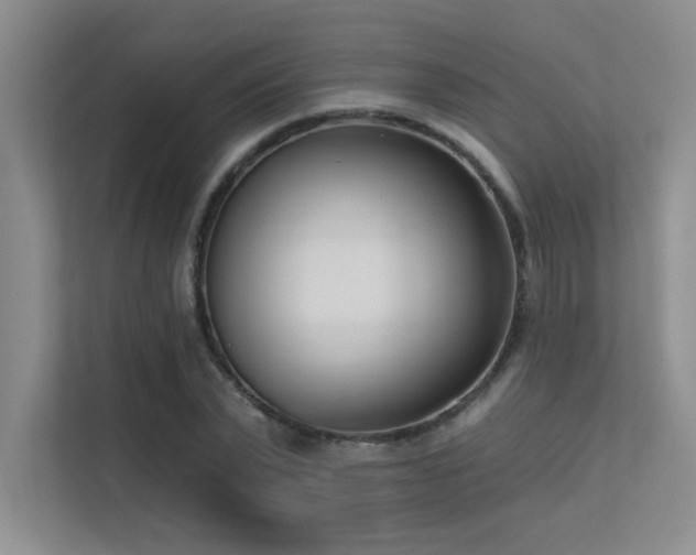 X0000113360783200909151234