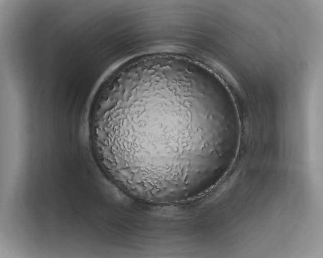 X0000113360784200909151234