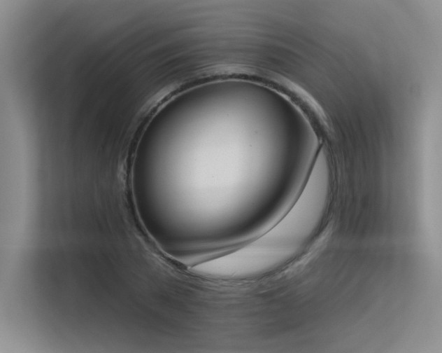 X0000113360785200909151234