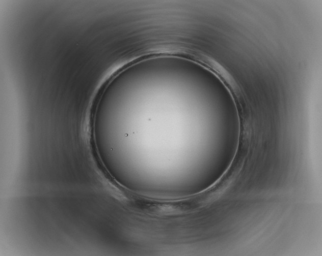 X0000113360787200909151234
