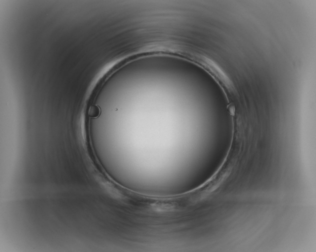 X0000113360788200909151234