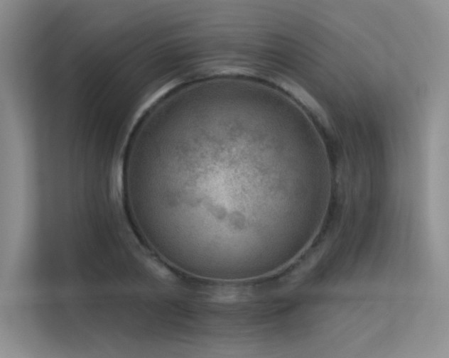 X0000113360790200909151234