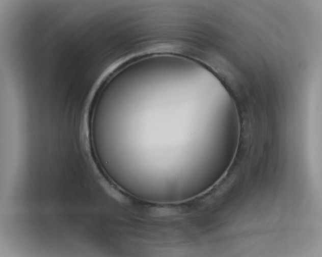 X0000113360792200909151234