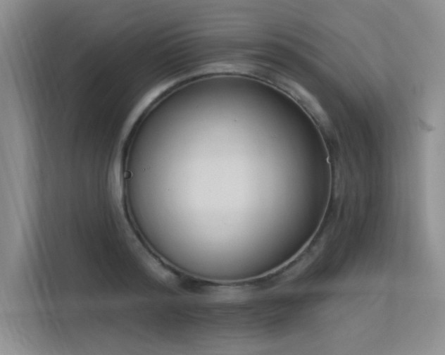 X0000113360796200909151234