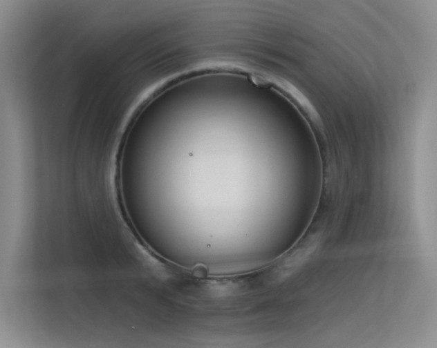 X0000113360799200909151234