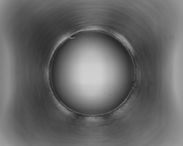 X0000113360805200909151234