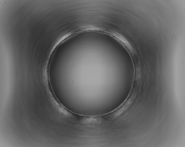 X0000113360806200909151234
