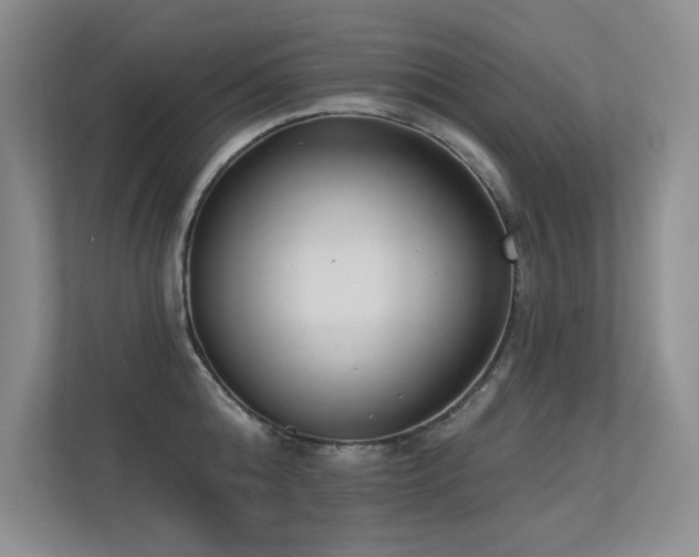 X0000113360808200909151234