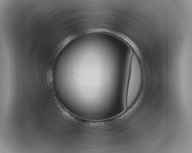 X0000113360809200909151234