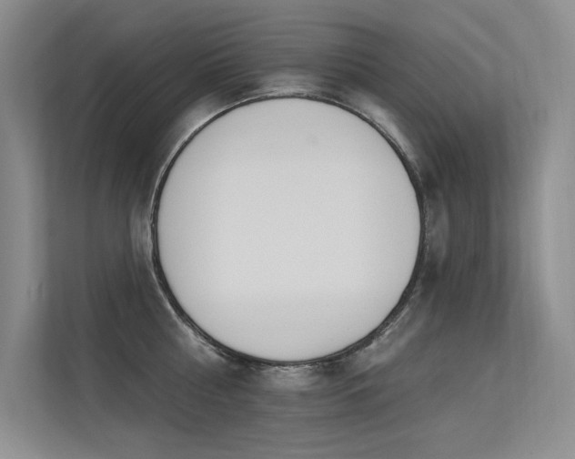 X0000113360810200909151234