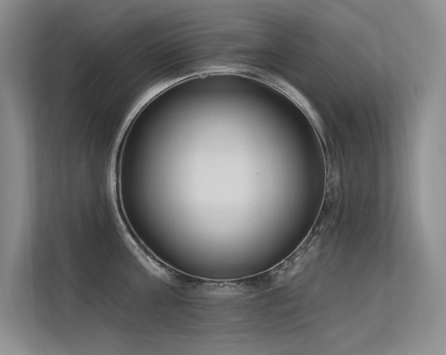 X0000113360811200909151234