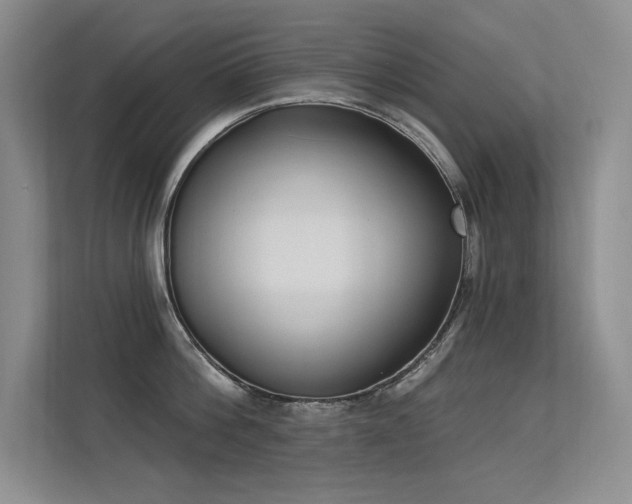 X0000113360812200909151234