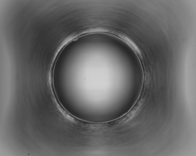 X0000113360813200909151234