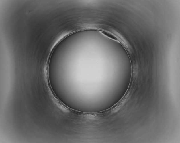 X0000113360814200909151234