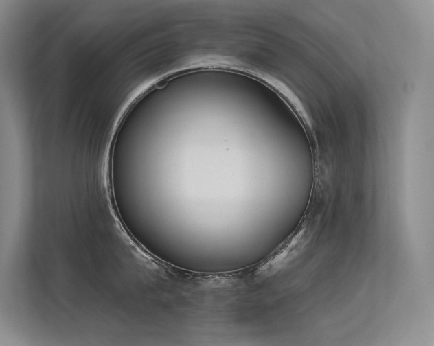 X0000113360815200909151234