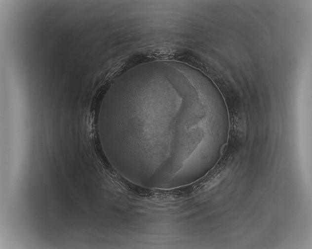 X0000113360818200909151233