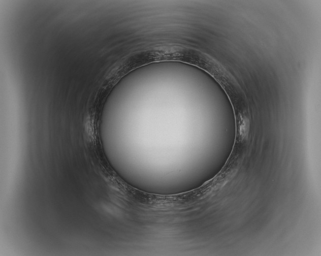 X0000113360819200909151233