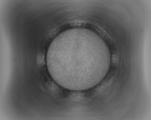 X0000113360820200909151233