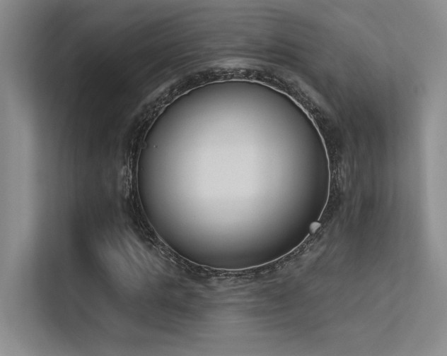 X0000113360821200909151233