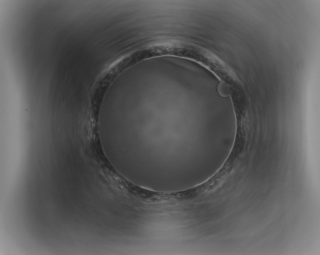 X0000113360822200909151233