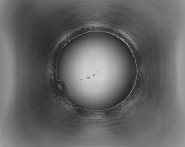 X0000113360823200909151233