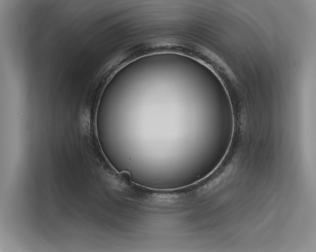 X0000113360825200909151233