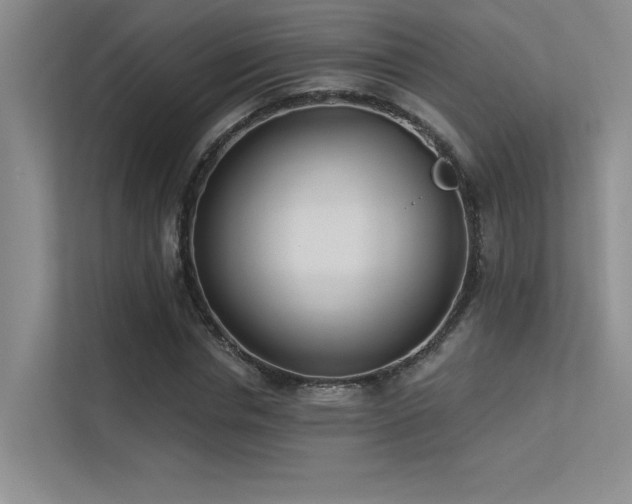 X0000113360826200909151233