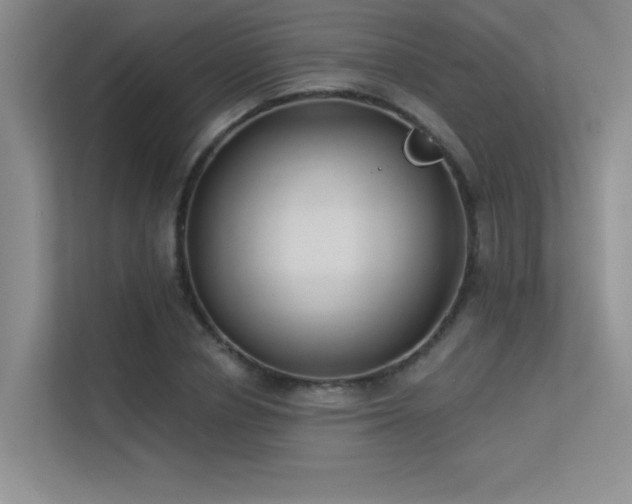 X0000113360834200909151234